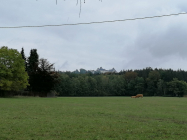 augustbg0005_01