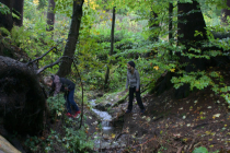 augustbg0025