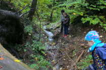 augustbg0071