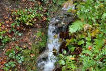 augustbg0076