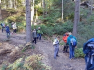 IMG-20191012-WA0012