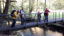 IMG-20191013-WA0036