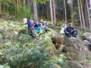 IMG-20191013-WA0061
