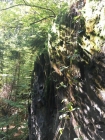 IMG-20191013-WA0072