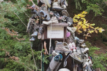 gruenheide0012