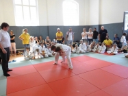 KKJS_006