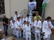 KKJS_011