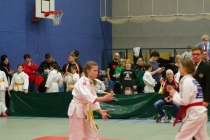 Stahl20200013