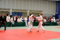 Stahl20200079
