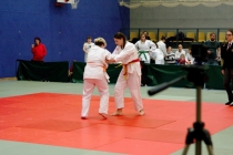 Stahl20200095