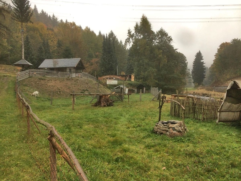 IMG-20181008-WA0002