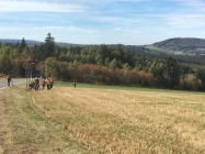 IMG-20181007-WA0079