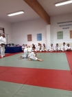 IMG-20191208-WA0027